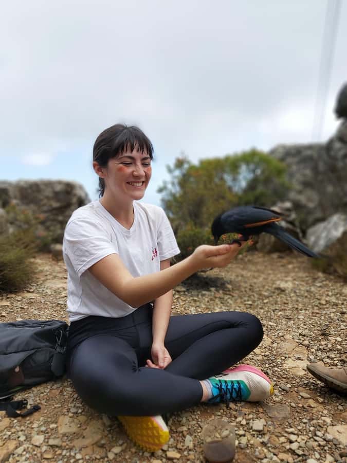 Cape Town: Table Mountain Hike with an Expert Guide - What kind of Table Mountain hike is this?