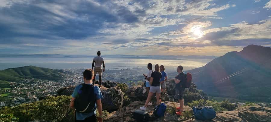 Cape Town: Table Mountain Hike with an Expert Guide - Fynbos, birds, and the mountain’s smaller details