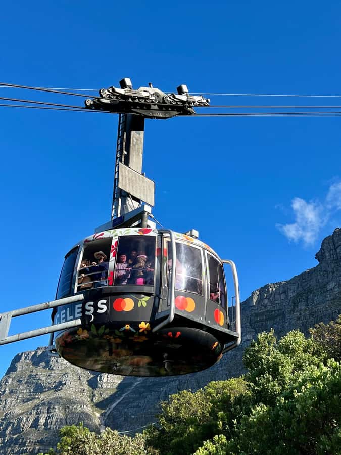 Cape Town Tour: Table Mountain, Penguins & Cape Point+Pickup - Key points at a glance