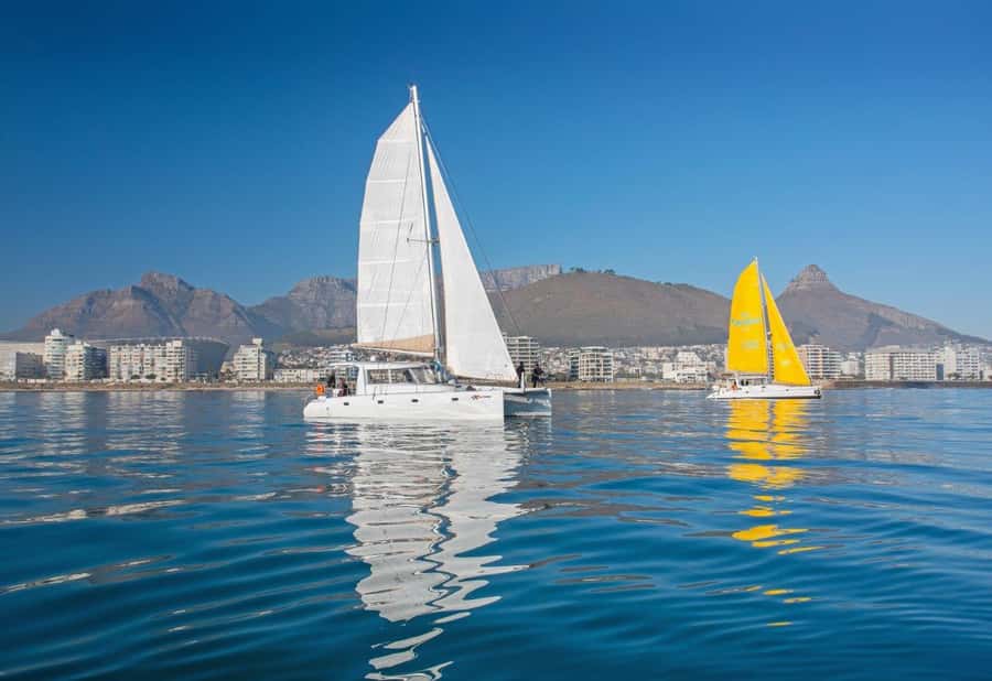 Cape Town: V&A Waterfront Gin Voyage Cruise - Should you book the Gin Voyage?