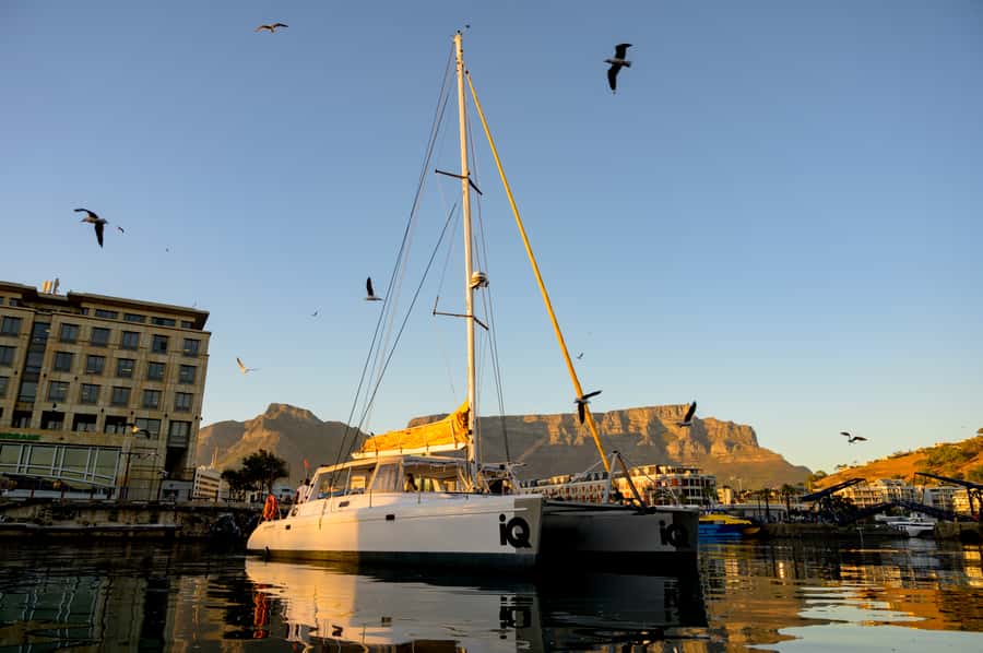 Cape Town: V&A Waterfront Gin Voyage Cruise - Two gin and tonics, plus a little colour-changing magic