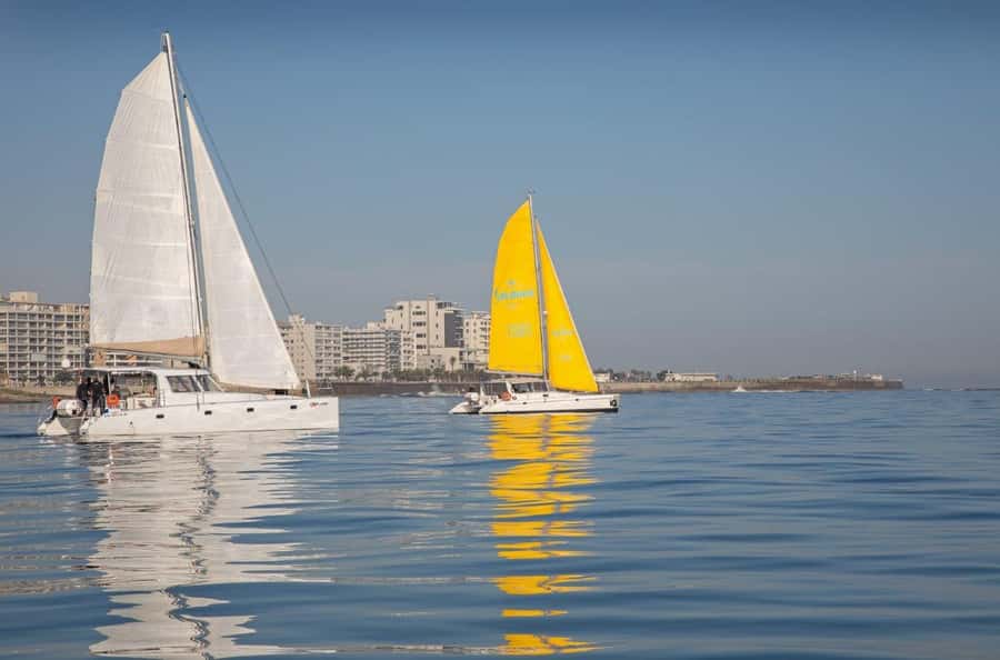 Cape Town: V&A Waterfront Gin Voyage Cruise - Is $37 good value for one hour?