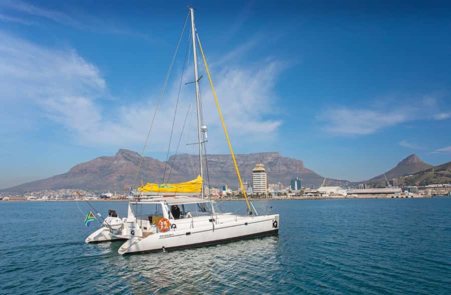Cape Town: V&A Waterfront Gin Voyage Cruise - What the experience feels like from start to finish