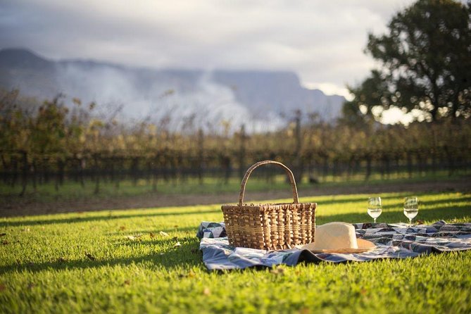 Cape Winelands Explore Full Day Tour with Private Transfer - Who will enjoy this day most