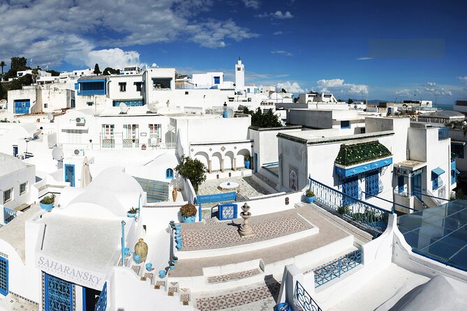 Carthage, Bardo Museum, Sidi Bou Said and Medina Private Day Tour - Entering Tunis through Bab el Bhar