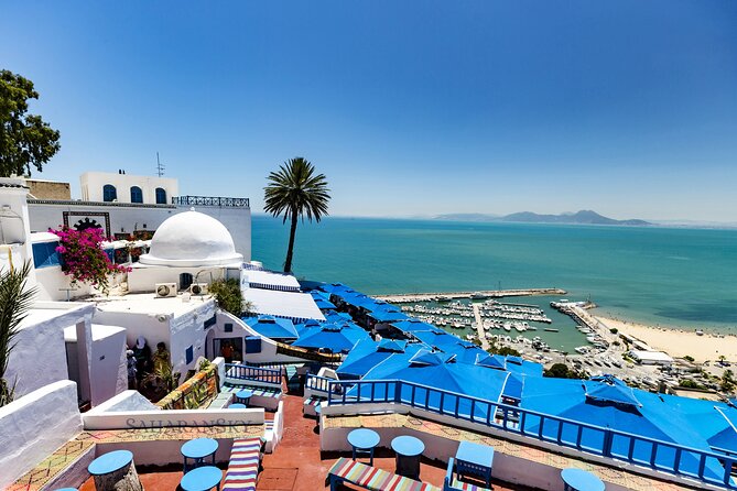 Carthage, Bardo Museum, Sidi Bou Said and Medina Private Day Tour - Carthage: ruins spread across Byrsa Hill and the coast