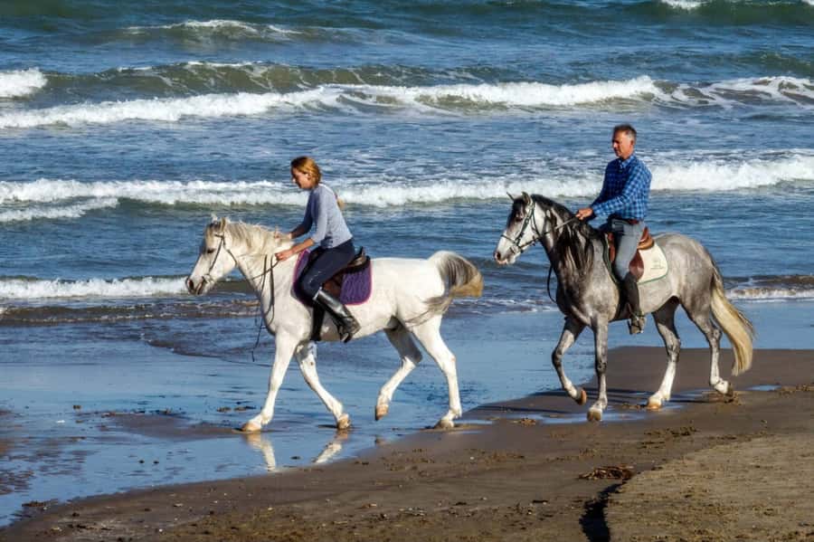 Casablanca: Beach Horseback Riding with Hotel Transfers - Leaving Casablanca for the coast