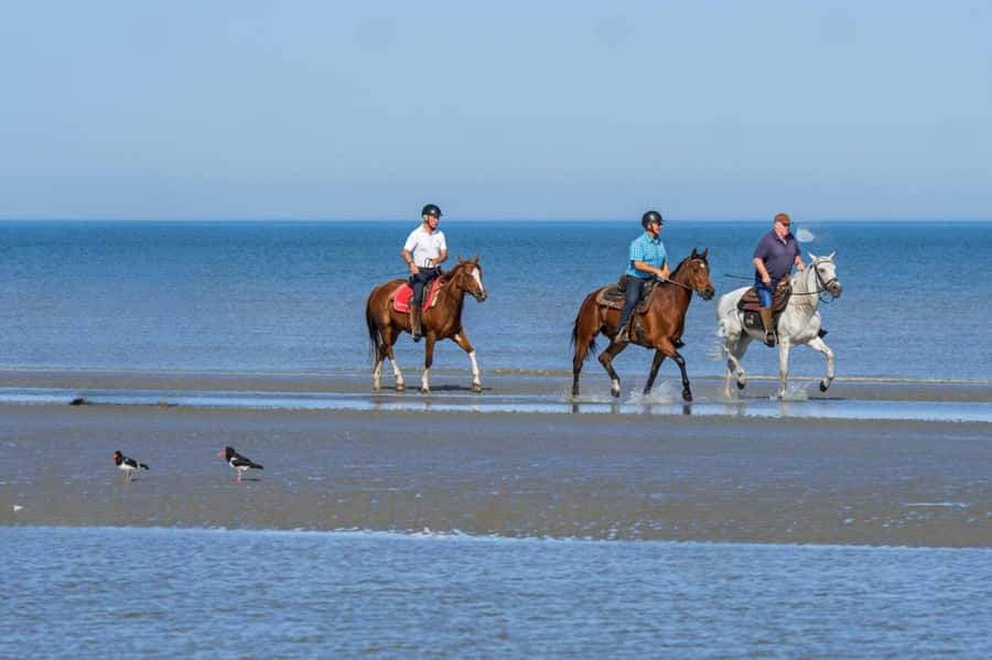 Casablanca: Beach Horseback Riding with Hotel Transfers - Choosing the beach or forest route