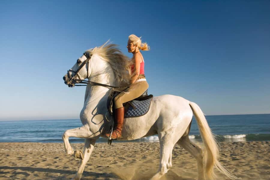 Casablanca: Beach Horseback Riding with Hotel Transfers - What the one-hour ride feels like