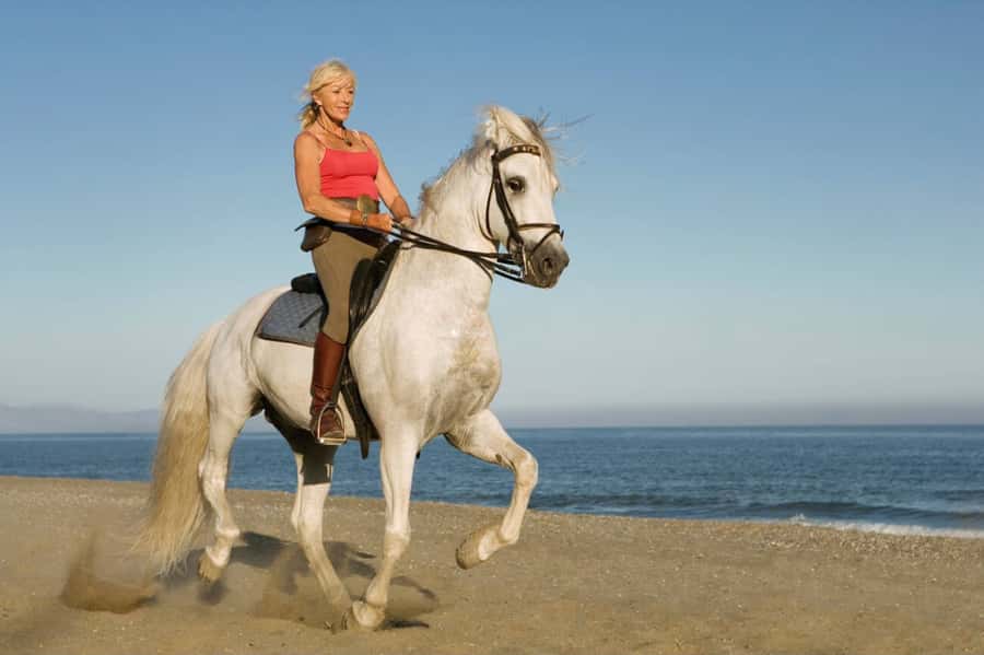 Casablanca: Beach Horseback Riding with Hotel Transfers - How the transport affects the value