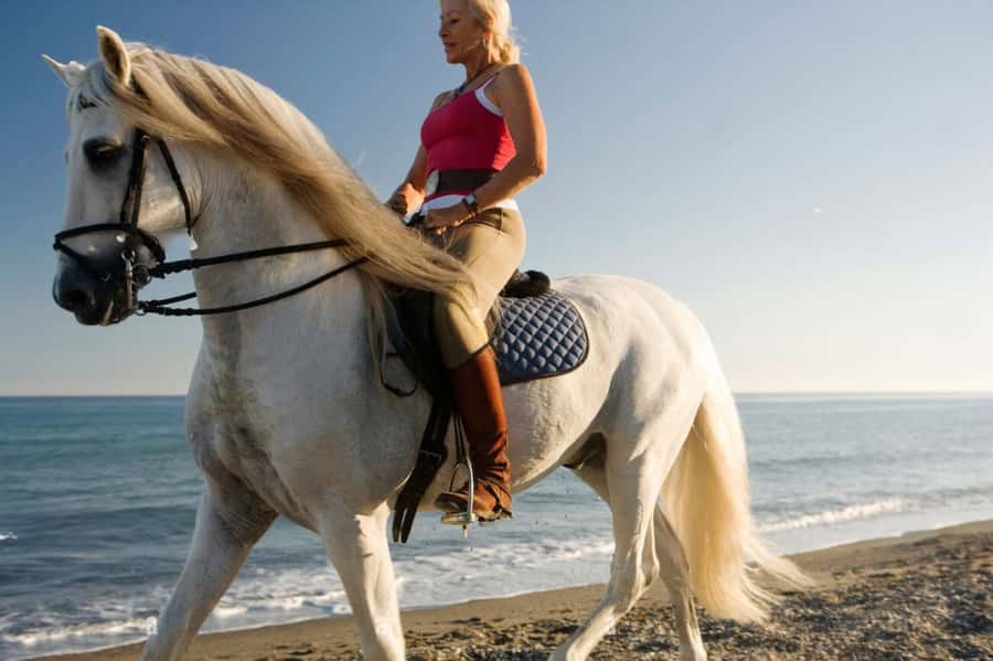 Casablanca: Beach Horseback Riding with Hotel Transfers - Who will enjoy this ride most