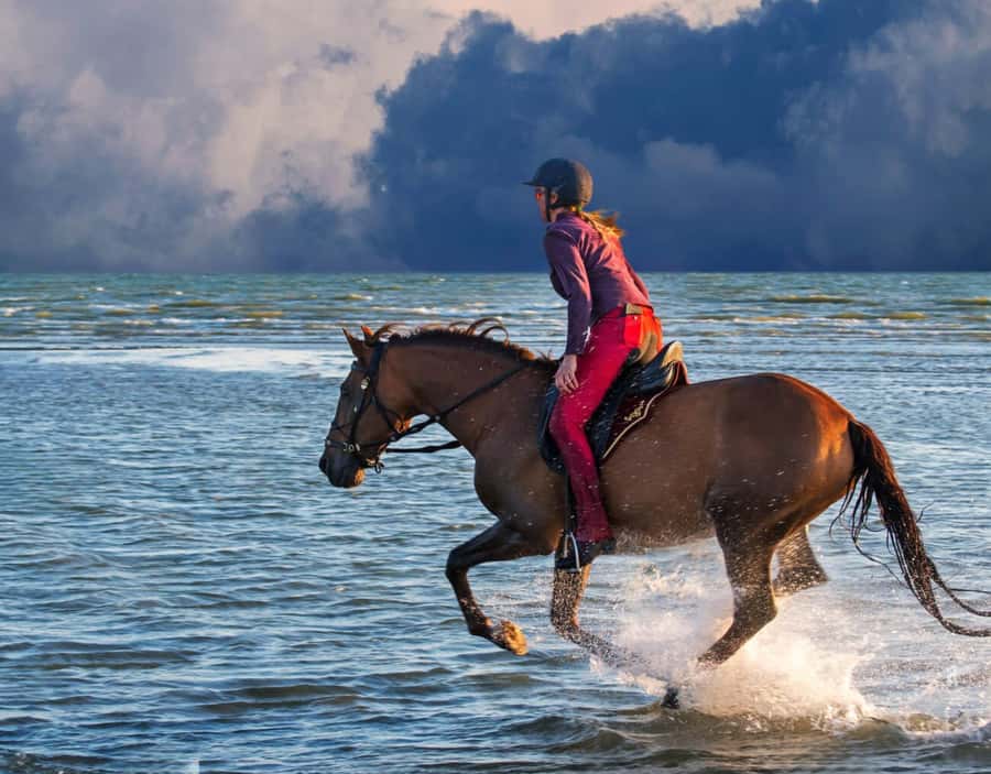 Casablanca: Beach Horseback Riding with Hotel Transfers - Practical tips before you go