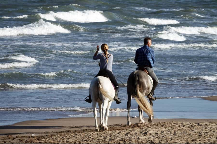 Casablanca: Beach Horseback Riding with Hotel Transfers - Meeting the horses and riding guides
