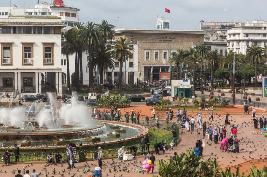 Casablanca City Tour with Hotel Pickup and drop off - Why the driver-guide makes a difference