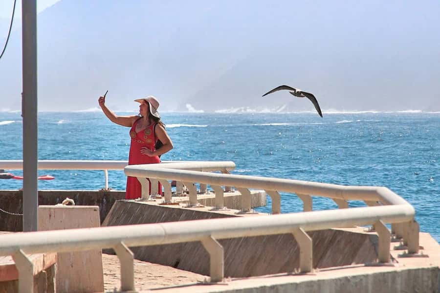 Casablanca: Private Guided Tour - Key points to know before booking