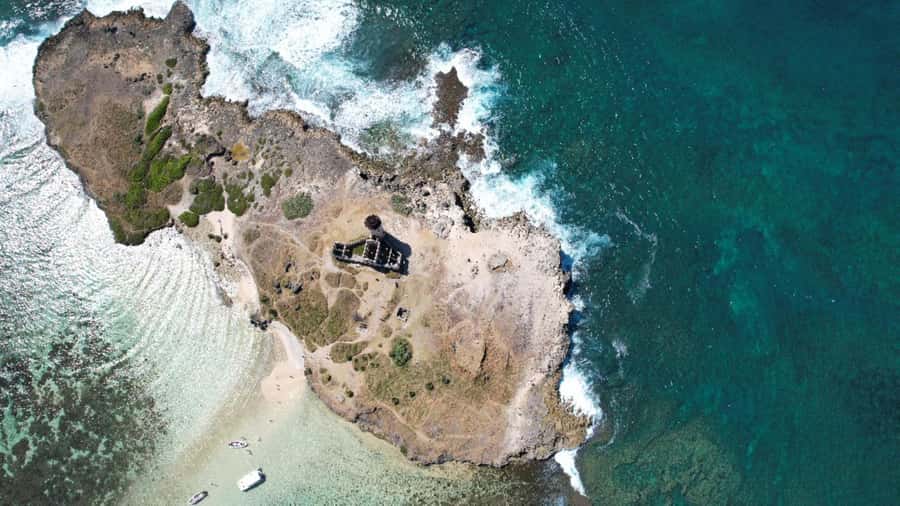 Catamaran Mauritius: South East 5 Islands Catamaran Cruises - Wildlife watching: dolphins, tortoises, and marine life