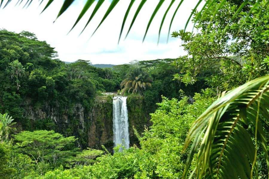 Chamarel: Southwest Mauritius Private Guided Day Tour - Why this route gives you a broad taste of Mauritius