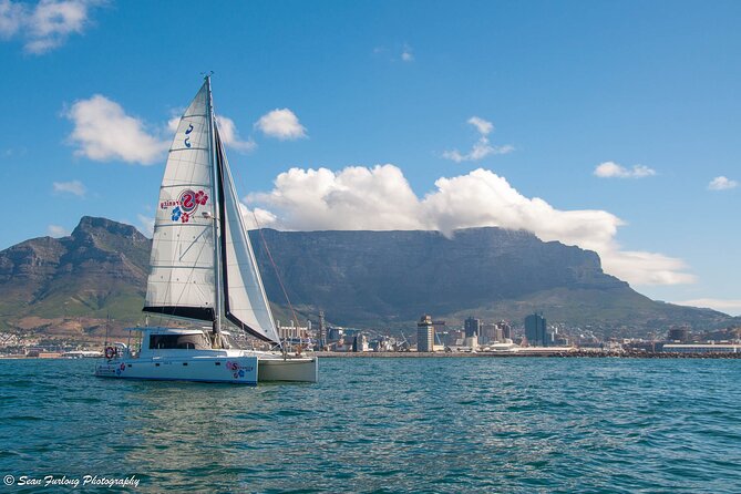 Champagne Cruise (Pre-Sunset) from Cape Town - Why this short Cape Town cruise works so well