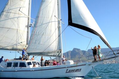 Champagne Cruise (Pre-Sunset) from Cape Town