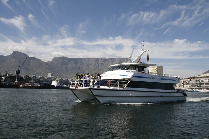 Champagne Cruise (Pre-Sunset) from Cape Town - Wildlife sightings add an unexpected bonus