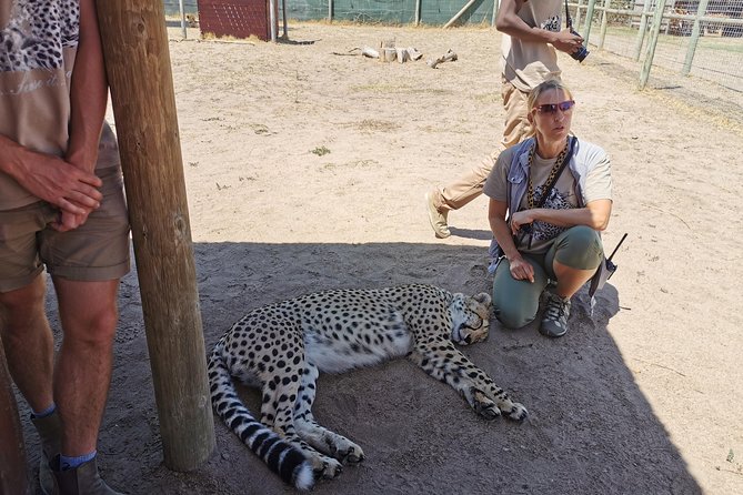 Cheetah Outreach Tour Somerset West, Gordon's Bay and Strand Beaches - The ride from Cape Town and the role of the guide