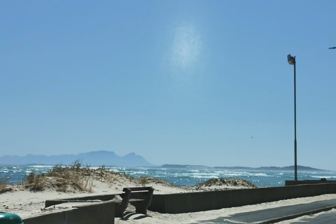 Cheetah Outreach Tour Somerset West, Gordon's Bay and Strand Beaches - Who will enjoy this day most