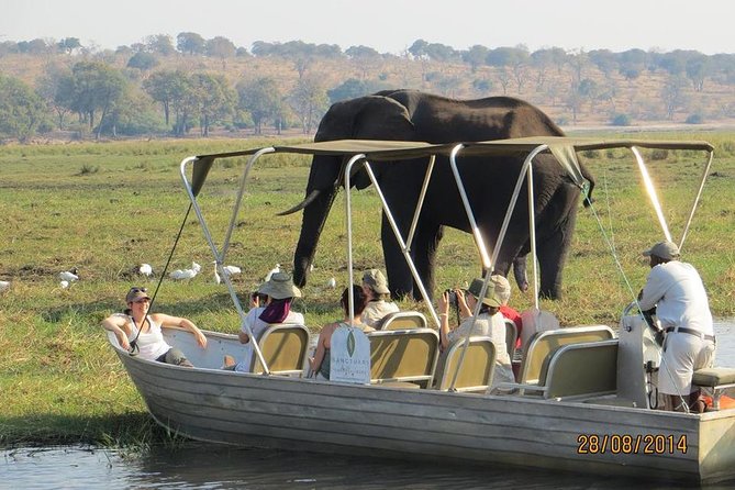Chobe Day Trip From Victoria Falls Zimbabwe - Key Points Before You Book