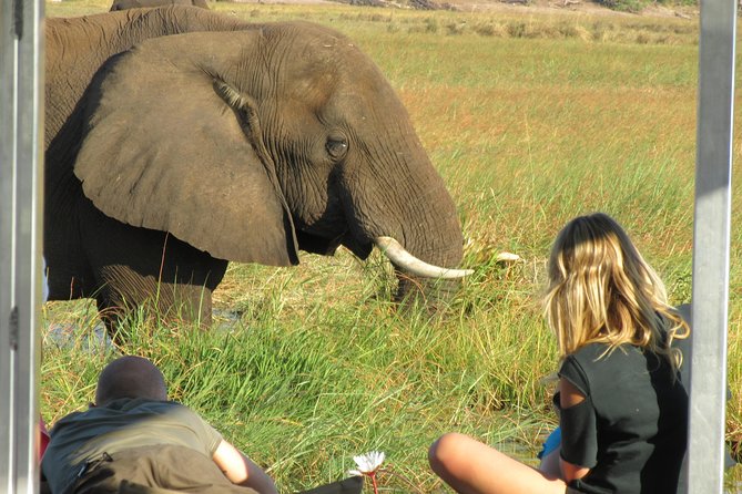 Chobe Day Trip From Victoria Falls Zimbabwe - Lunch Beside the River
