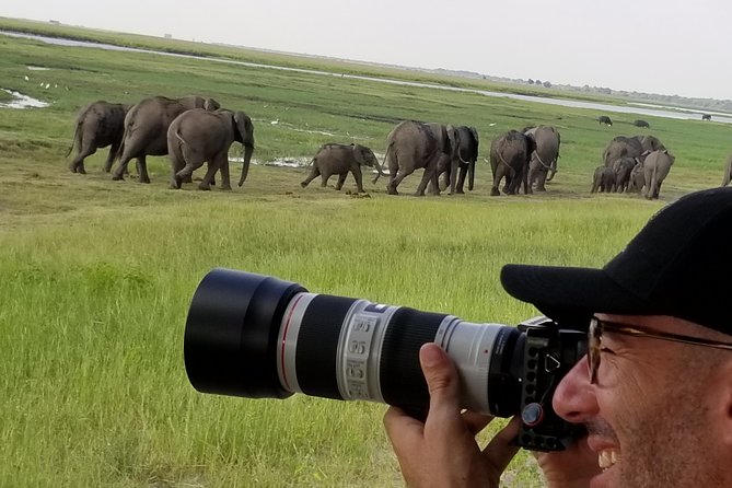 Chobe Day Trip From Victoria Falls Zimbabwe - Wildlife Expectations: Big Five Possibilities, Not Promises