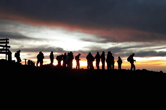 Climbing Kilimanjaro - Machame Route - Day four: Barranco Wall and the exposed Barafu ridge