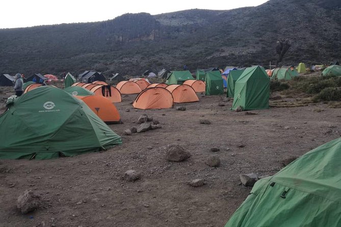 Climbing Kilimanjaro - Machame Route - Day six: the muddy walk out and a proper shower