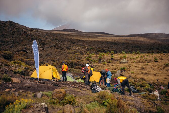 Climbing Kilimanjaro through 7 days Machame Route - Day 7: Mweka descent and return to Moshi