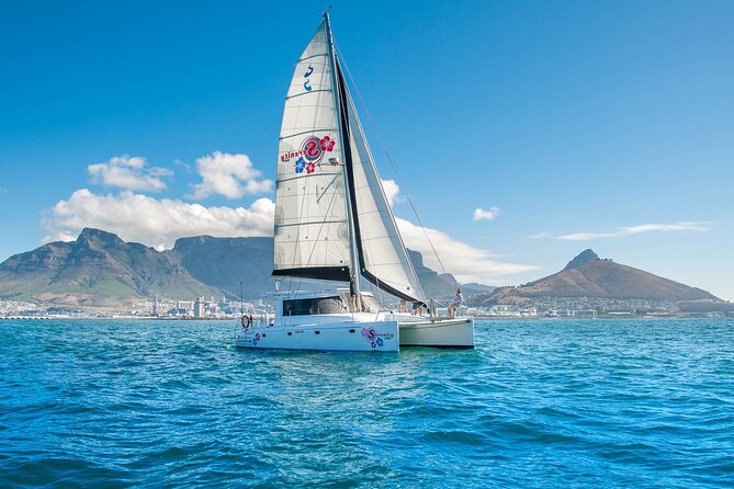 Cruise and Dine Dinner / Cape Town: Sunset Champagne Cruise and 3-Course Dinner - Why this Cape Town combination works