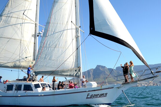 Cruise and Dine Dinner / Cape Town: Sunset Champagne Cruise and 3-Course Dinner - Practical advice for a smoother night