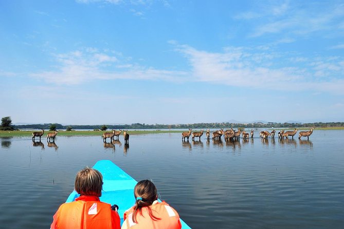 Day Tour To Lake Nakuru Park With Optional Boat Ride on Lake Naivasha - A 6:00am departure from Nairobi