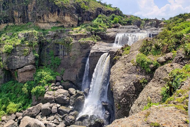 Day Trip From Addis Ababa See Historical Monastery,Stunning Nature,Animals,Birds - The coffee stop and Ethiopian lunch