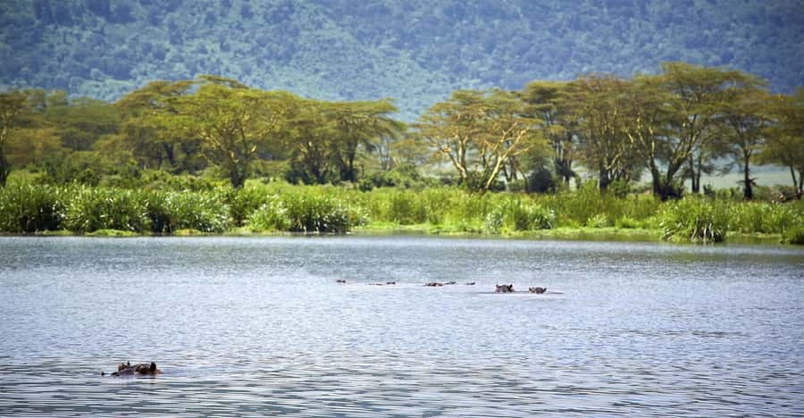 Day Trip: Hell's Gate Bike Ride & Lake Naivasha Boat Ride - Comfort, timing, and group size