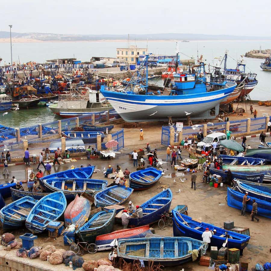 Day Trip To Essaouira From Marrakech With Guide - Chichaoua: a short break with a local feel