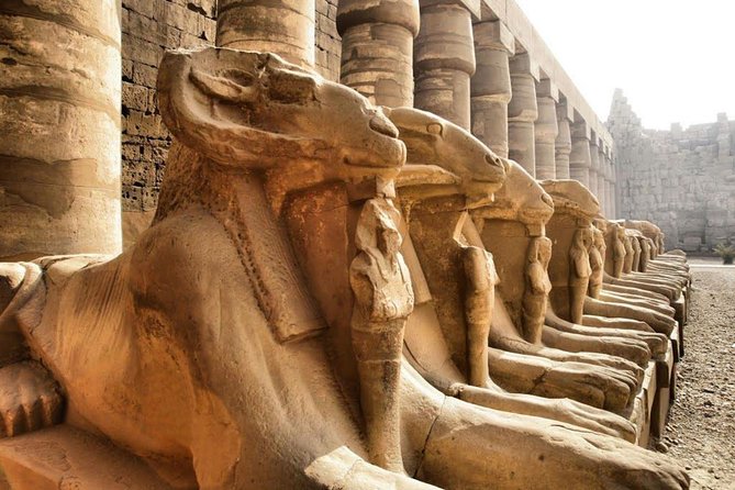 Day Trip To Luxor From Cairo By Plane - Lunch, shopping stops, and the parts to watch