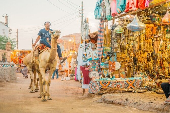 Day Trip to Nubian Village with Camel Tour from Aswan - Is $20 good value in Aswan?