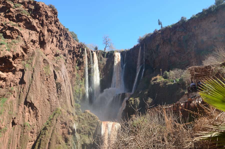 Day Trip To Ouzoud Waterfalls & Boat Ride From Marrakech - Barbary macaques and the forest around the falls