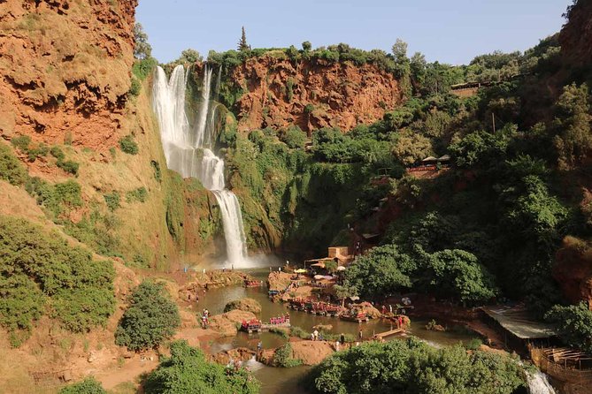 Day Trip To Ouzoud Waterfalls (Guide Hike & Boat are options) - Barbary macaques along the path