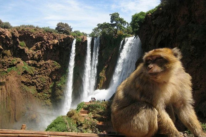Day Trip To Ouzoud Waterfalls (Guide Hike & Boat are options) - Who will enjoy this day trip