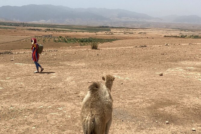 Desert Agafay and Atlas Mountains Day Tour & Camel ride From Marrakech - Should you book it?