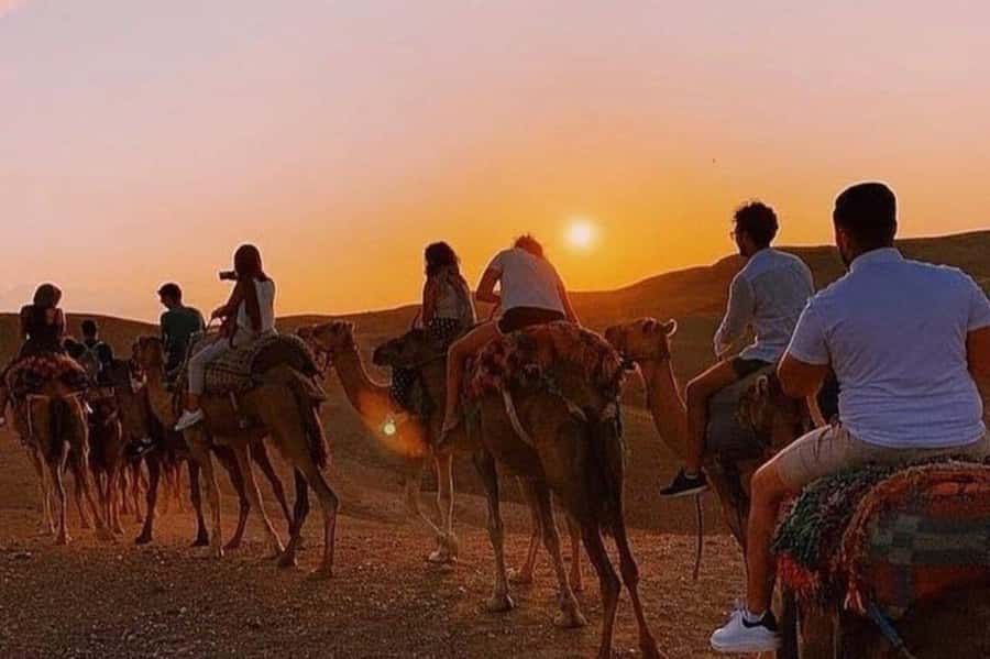 Desert & Beach Quad Adventure With Camel Ride - Pickup from Agadir, Taghazout, Tamraght, or Anza