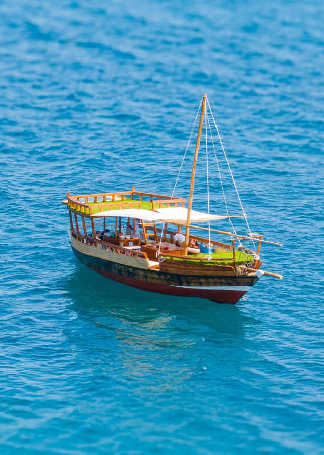 Dhow Adventure to Wasini Island & Kisite Marine Park - The Shimoni Slave Caves and a Difficult Past