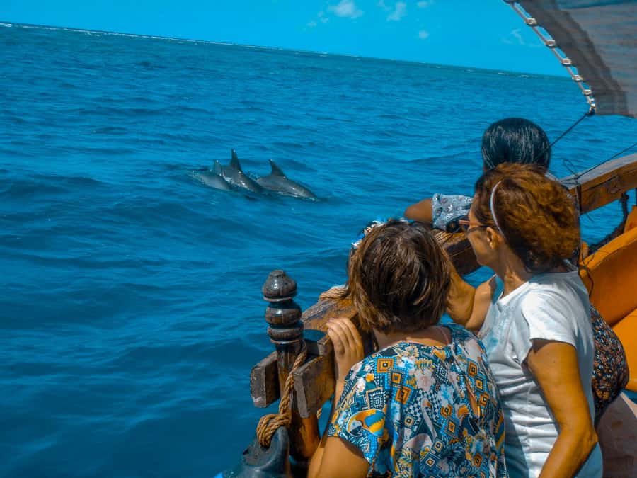 Dhow Adventure to Wasini Island & Kisite Marine Park - Crew Care, Group Size, and Free Photos