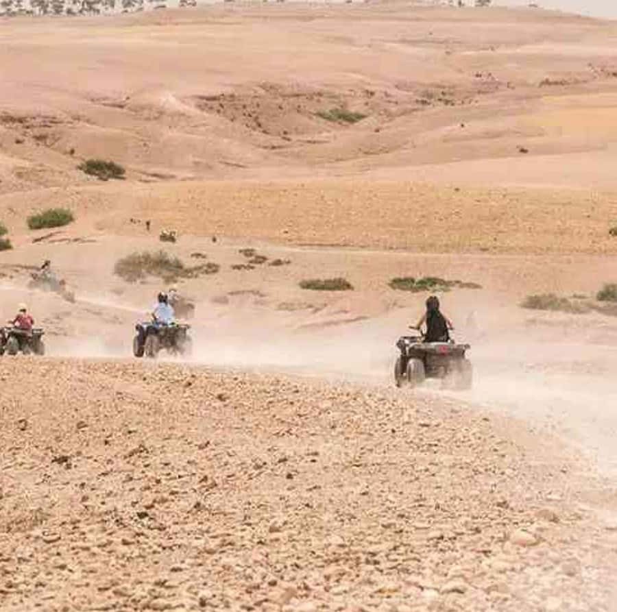Dinner show in agafay Desert 1h quad bike & 20 min camels - Who will enjoy this Agafay evening most?
