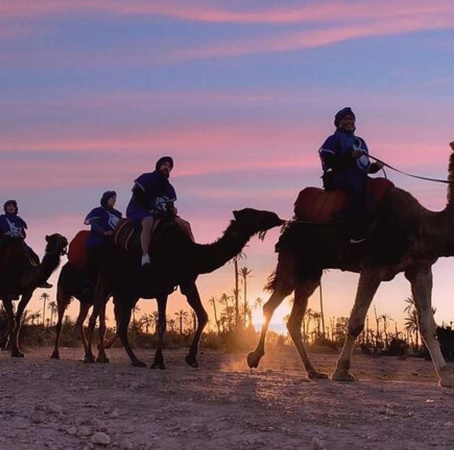 Dinner show in agafay Desert 1h quad bike & 20 min camels - Why Agafay works for a short desert escape