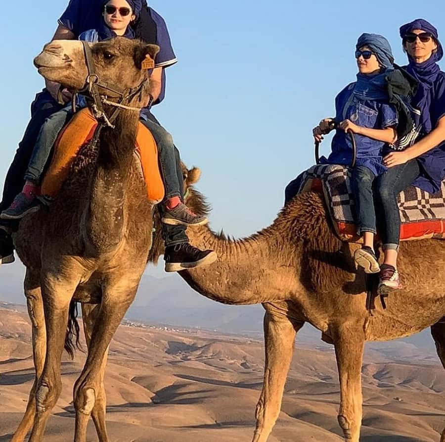 Dinner show in agafay Desert 1h quad bike & 20 min camels - Moroccan dinner inside the candle-lit tent